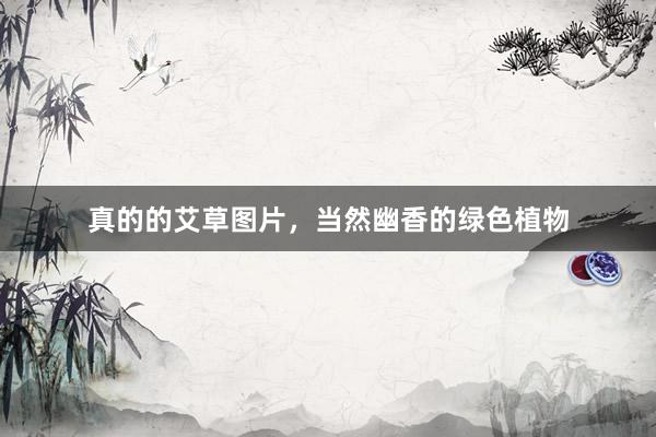 真的的艾草图片，当然幽香的绿色植物