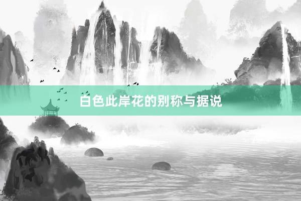 白色此岸花的别称与据说